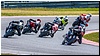 2805-rookie600-544.jpg