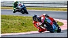 2805-rookie600-548.jpg
