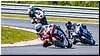 2805-rookie600-552.jpg