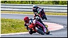 2805-rookie600-553.jpg
