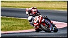 2805-rookie600-560.jpg