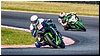 2805-rookie600-562.jpg