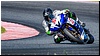 2805-rookie600-563.jpg