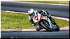 2805-rookie600-566.jpg
