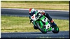 2805-rookie600-568.jpg