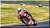2805-rookie600-573.jpg