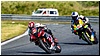 2805-rookie600-574.jpg