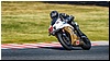 2805-rookie600-577.jpg
