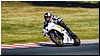 2805-rookie600-578.jpg