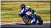 2805-rookie600-579.jpg