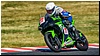 2805-rookie600-582.jpg