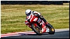 2805-rookie600-583.jpg