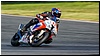 2805-rookie1000-610.jpg