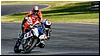2805-rookie1000-615.jpg