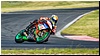 2805-rookie1000-619.jpg