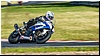 2805-rookie1000-622.jpg