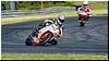 2805-rookie1000-623.jpg