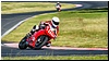 2805-rookie1000-624.jpg