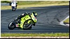 2805-rookie1000-627.jpg