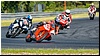 2805-rookie1000-642.jpg