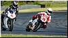 2805-rookie1000-644.jpg