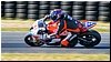 2805-rookie1000-669.jpg