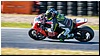 2805-rookie1000-672.jpg