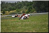 _DSC8666.JPG