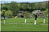 tn_DSC_0318.JPG