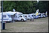 tn_DSC_0462.JPG