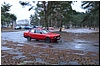 DSC_0242.JPG