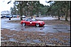 DSC_0245.JPG