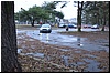 DSC_0246.JPG