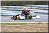 CR6A7252.jpg