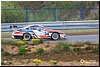 smp-210.jpg